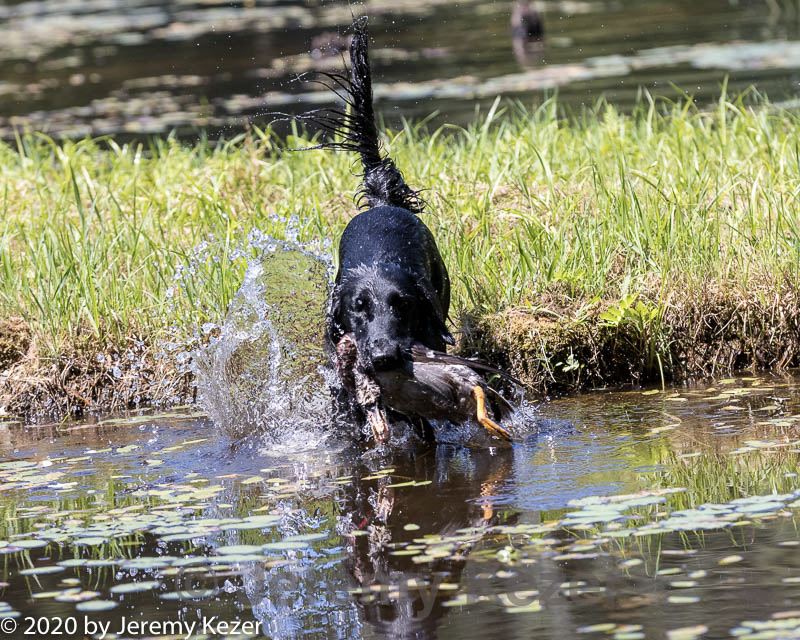 20200808-jhw-0018.jpg