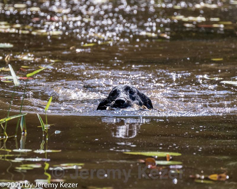 20200808-jhw-1254.jpg