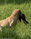 20200809-shl-0031