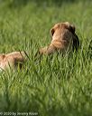 20200809-shl-0034