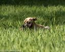 20200809-shl-0042