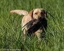 20200809-shl-0049