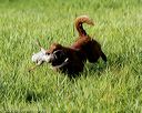 20200809-shl-0069