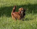 20200809-shl-0080