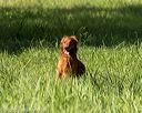 20200809-shl-0095