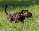 20200809-shl-0114