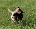 20200809-shl-0143