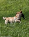 20200809-shl-0156