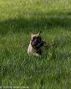 20200809-shl-0165
