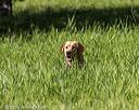 20200809-shl-0170