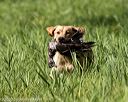 20200809-shl-0182
