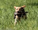 20200809-shl-0183