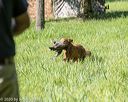 20200809-shl-0196