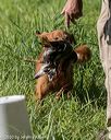 20200809-shl-0199