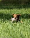 20200809-shl-0224