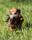 20200809-shl-0239