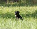 20200809-shl-0266