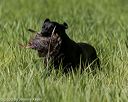 20200809-shl-0279
