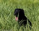 20200809-shl-0313