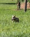 20200809-shl-0341