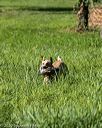 20200809-shl-0343