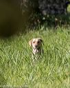 20200809-shl-0374