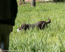 20200809-shl-0399