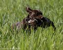 20200809-shl-0420