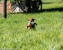 20200809-shl-0451
