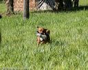 20200809-shl-0457