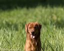 20200809-shl-0483