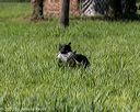 20200809-shl-0550