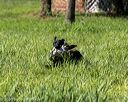 20200809-shl-0551