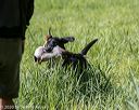 20200809-shl-0616