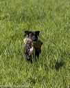 20200809-shl-0630