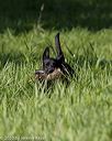 20200809-shl-0633