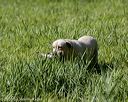 20200809-shl-0667