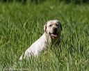 20200809-shl-0687