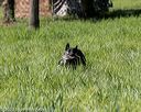 20200809-shl-0710