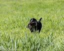 20200809-shl-0764