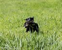 20200809-shl-0766
