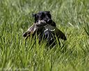 20200809-shl-0780