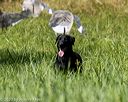 20200809-shl-0787