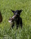 20200809-shl-0806