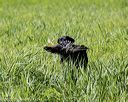 20200809-shl-0820