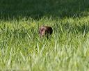 20200809-shl-0897