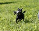 20200809-shl-0921