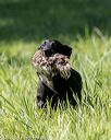 20200809-shl-0957