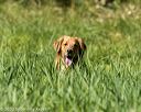 20200809-shl-1009