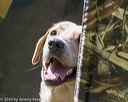 20200809-shl-1094